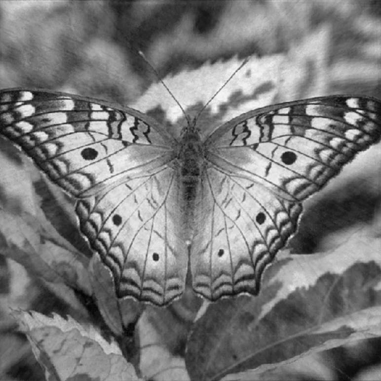 Near-converged butterfly sparse-ray reconstruction